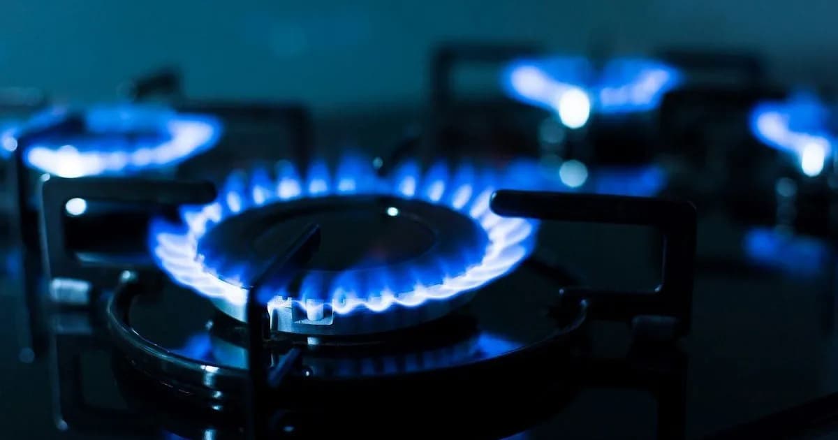 Consulta Pública para Reconfigurar Tarifas de Gas y Sistema de Transporte en Argentina