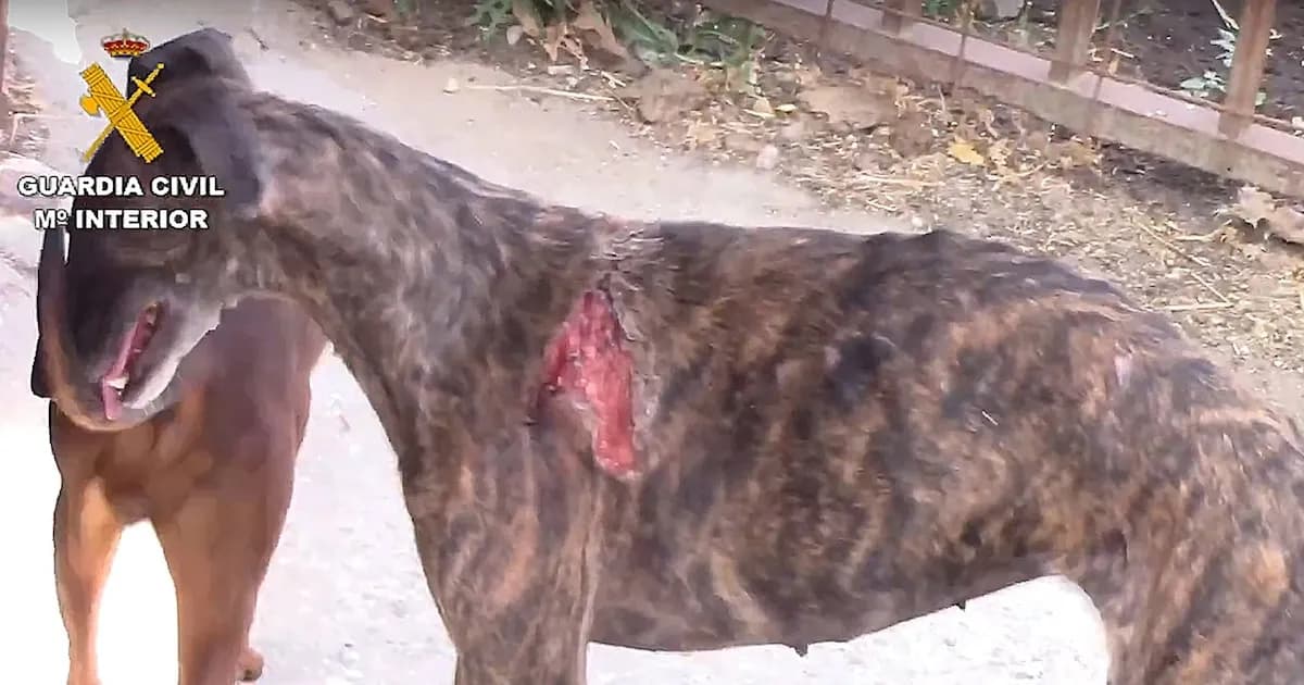 Solicitan investigar al 'Vampiro de Humanes' por presunto incumplimiento de medidas judiciales