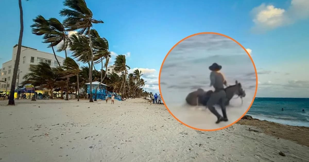 Tecnologia: Un caballo de la Policía interrumpió su patrullaje con miras a sumergirse en el mar y la escena generó ternura en redes sociales