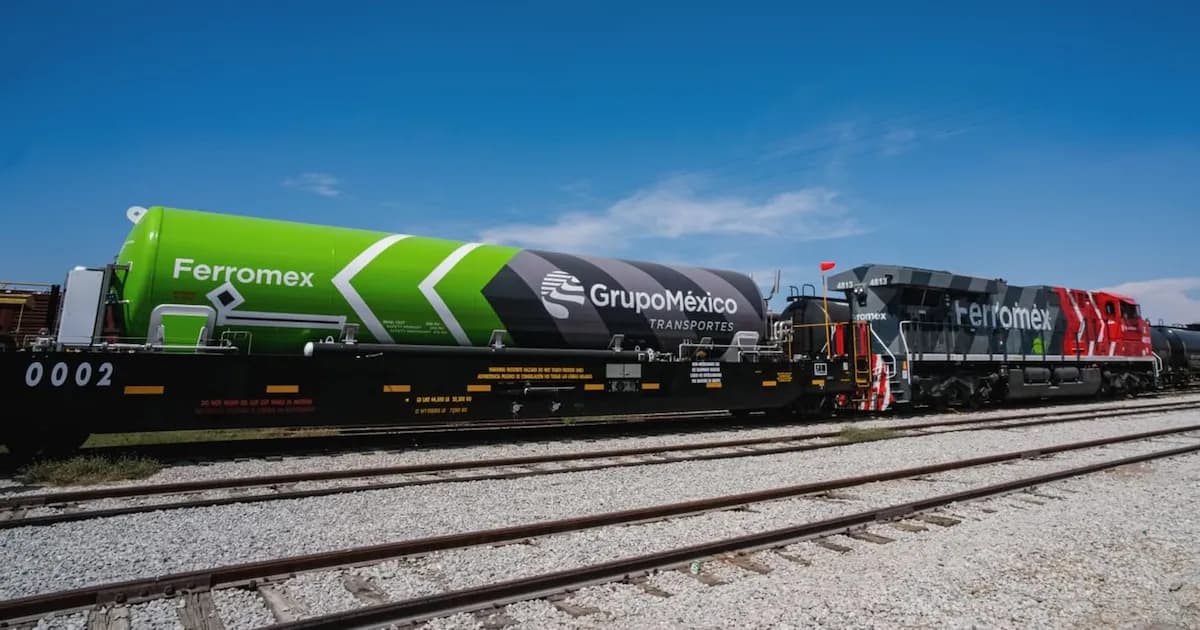 El futuro del Belgrano Cargas: la clave del proceso de privatización en Argentina