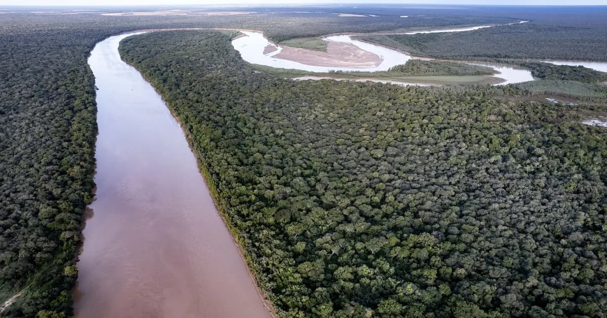 Misiones: un refugio de biodiversidad en juego ante cambios legislativos
