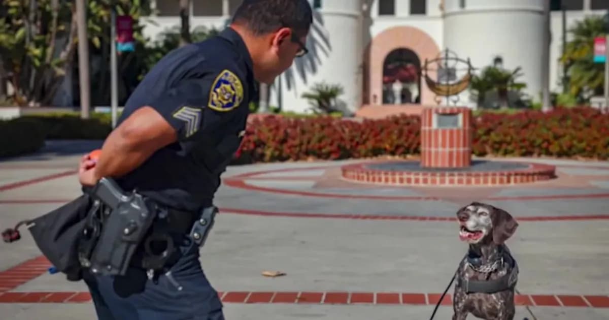 Ex sargento de policía universitaria admite posesión de pornografía infantil