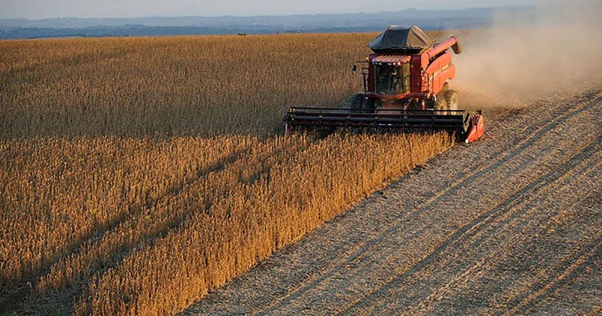 El Gobierno elimina trámites y exime al campo de habilitaciones municipales