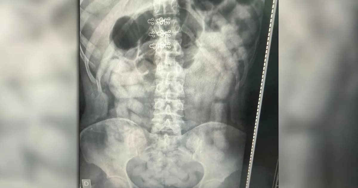 Desarticulan red de narcotráfico en un tour de compras: seis detenidos por transportar cocaína