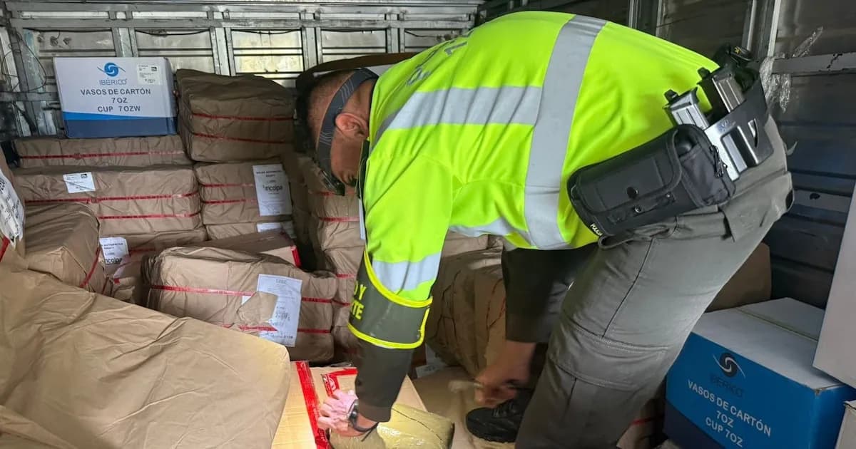 Desmantelan red de tráfico de drogas en Manizales con importante incautación de marihuana