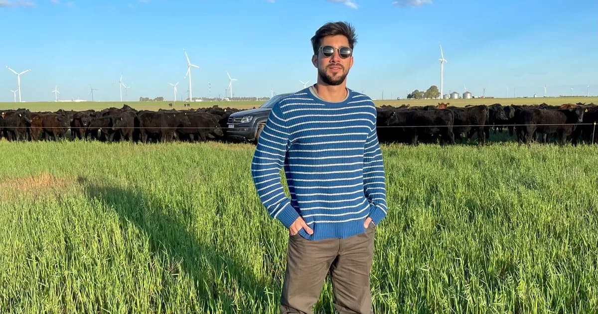 El misterio de las 190 vacas desaparecidas: un caso que revela más de lo esperado