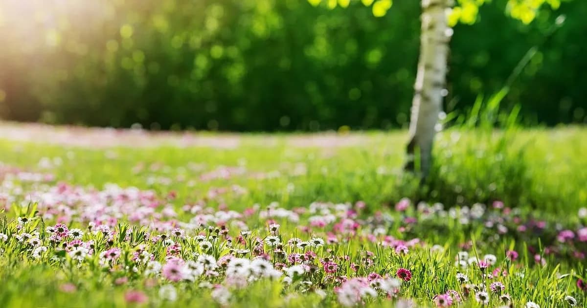La conexión entre la naturaleza y una alimentación más saludable
