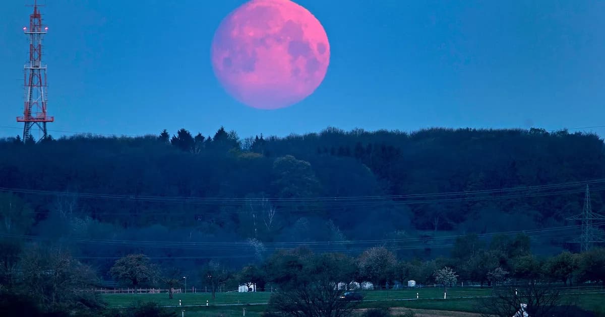 Luna Rosa 2026: Cómo y Cuándo Disfrutar de Este Espectacular Fenómeno en Argentina