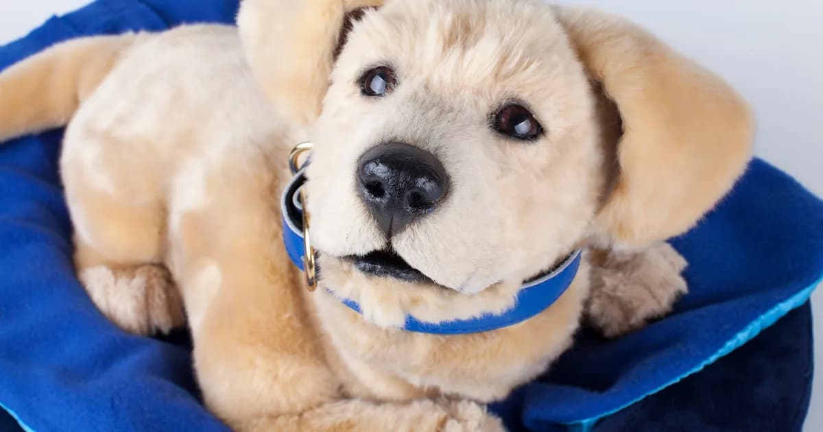 Jennie: el innovador perro robótico que transforma el cuidado de personas mayores