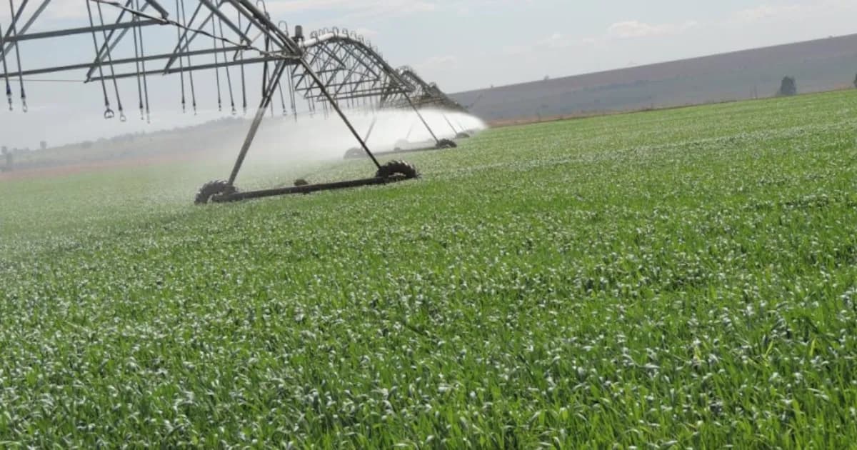 Exfuncionario de Economía resalta el crecimiento de inversiones en riego tras aprobación del Senado