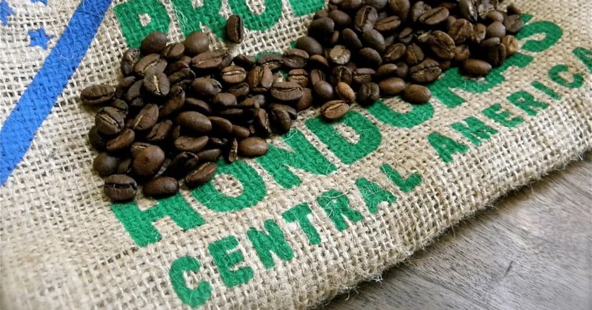 Honduras reduce su déficit comercial gracias al aumento del precio del café