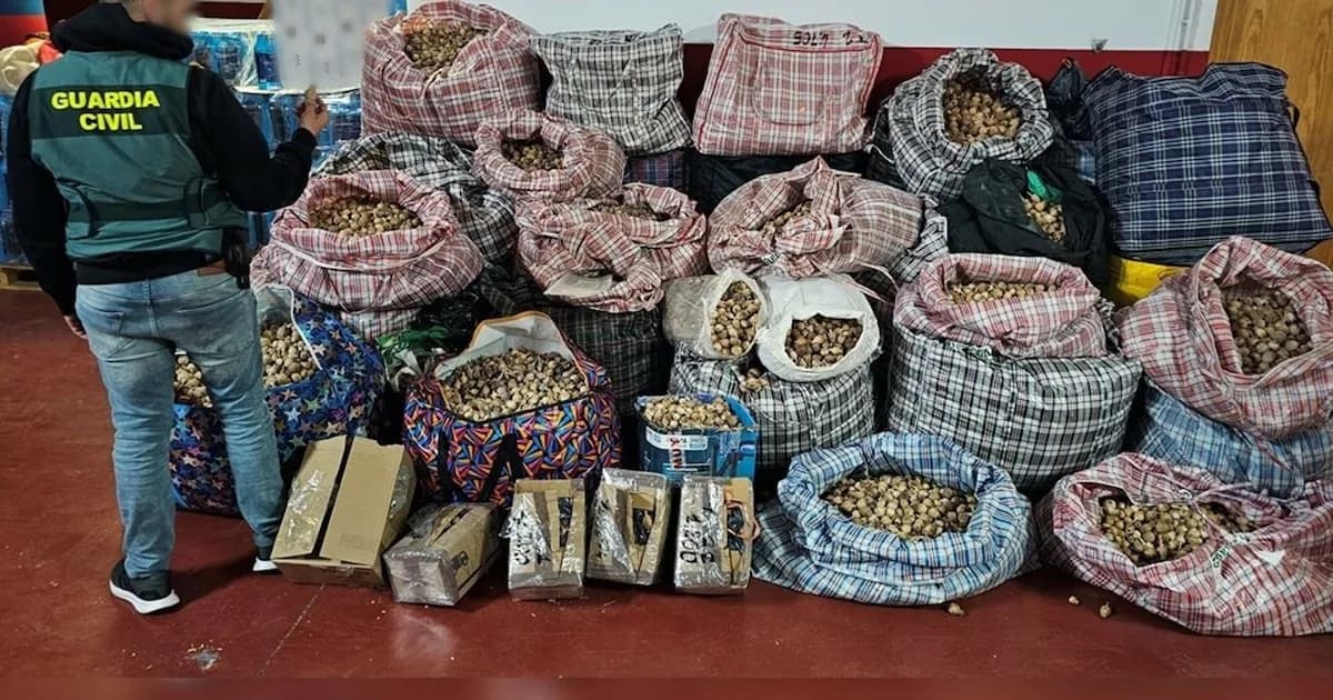 Desarticulada red de tráfico de amapola adormidera con envíos a Europa y EE.UU.