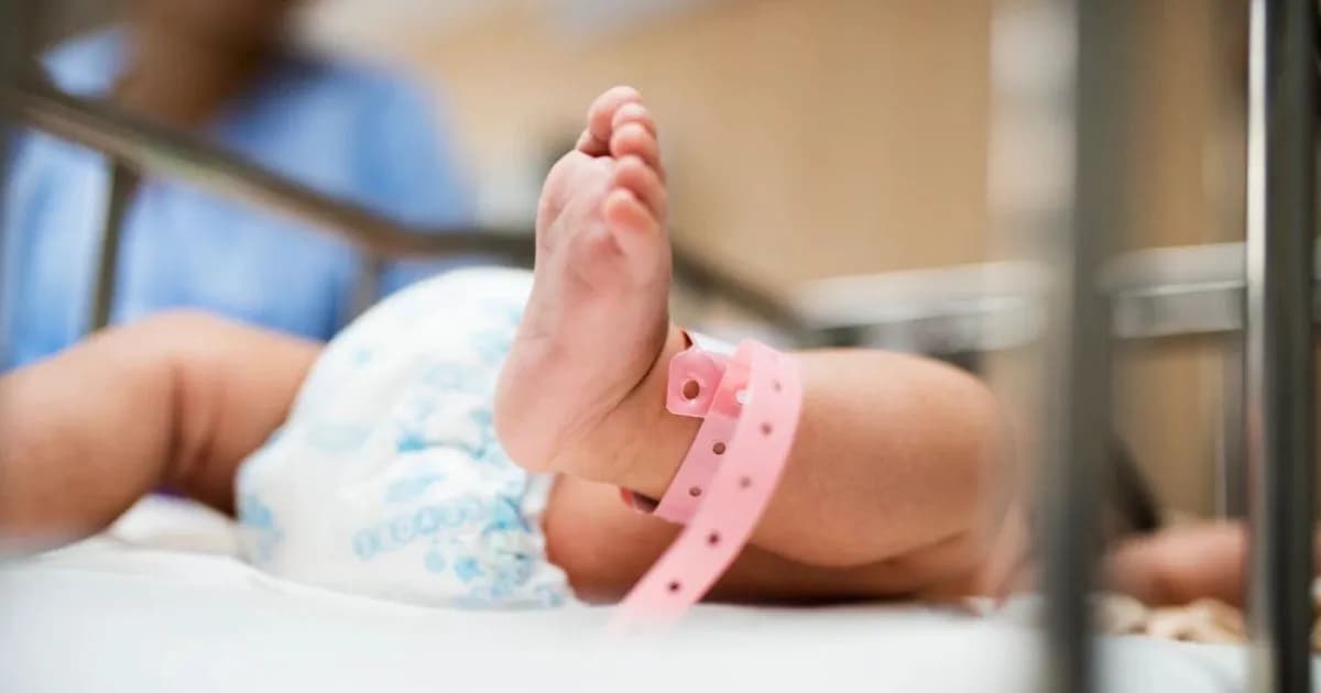 Argentina enfrenta una baja en natalidad y desafíos económicos hasta 2040