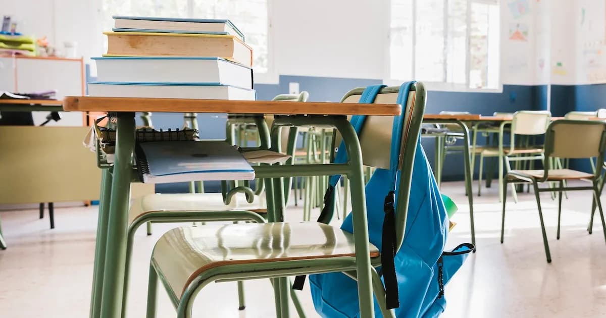 Expertos alertan sobre la falta de recursos para combatir la violencia en las escuelas argentinas