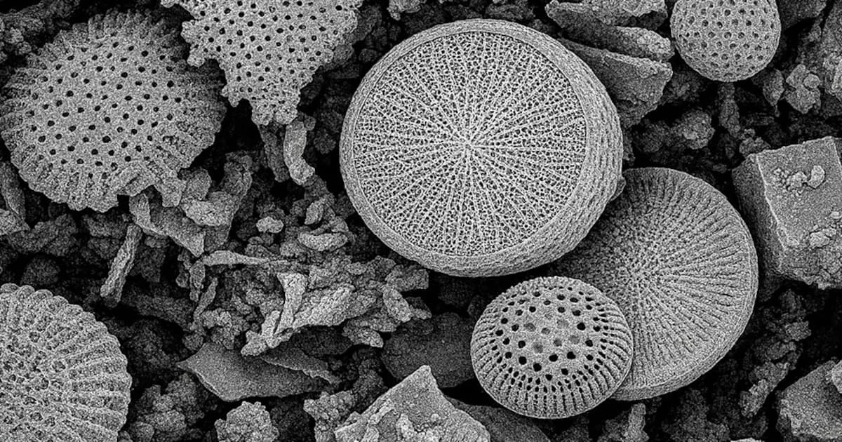 Desarrollan un innovador filtro para eliminar micro y nanoplásticos del agua en Argentina