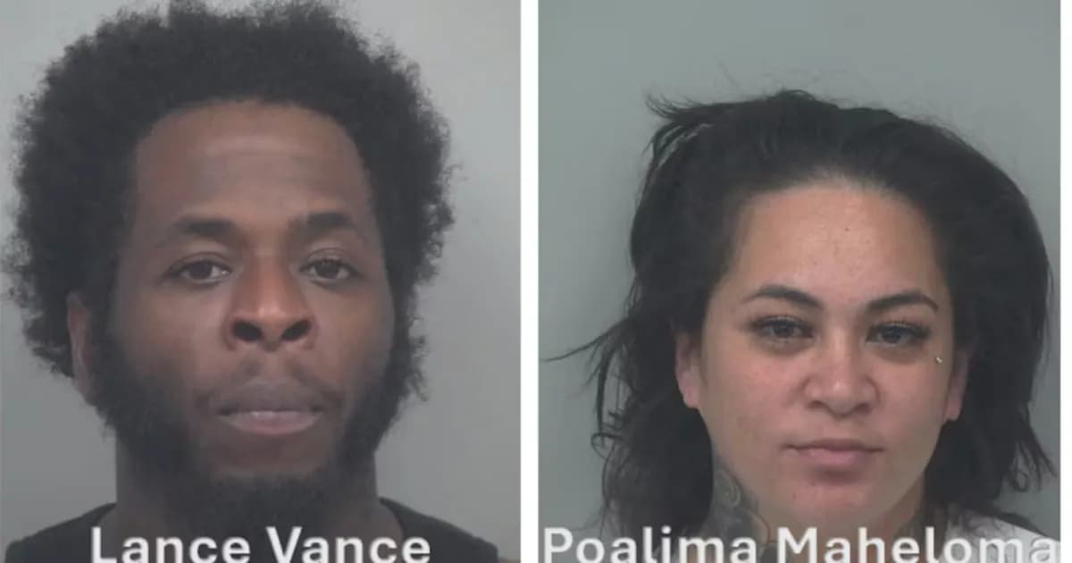 Detenidos dos sospechosos de robo de paquetes en Gwinnett tras operativo policial