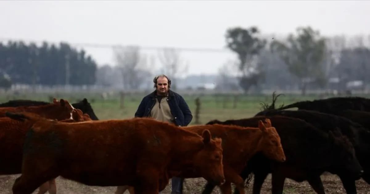 La confianza del agro argentino alcanza su máximo nivel en casi diez años