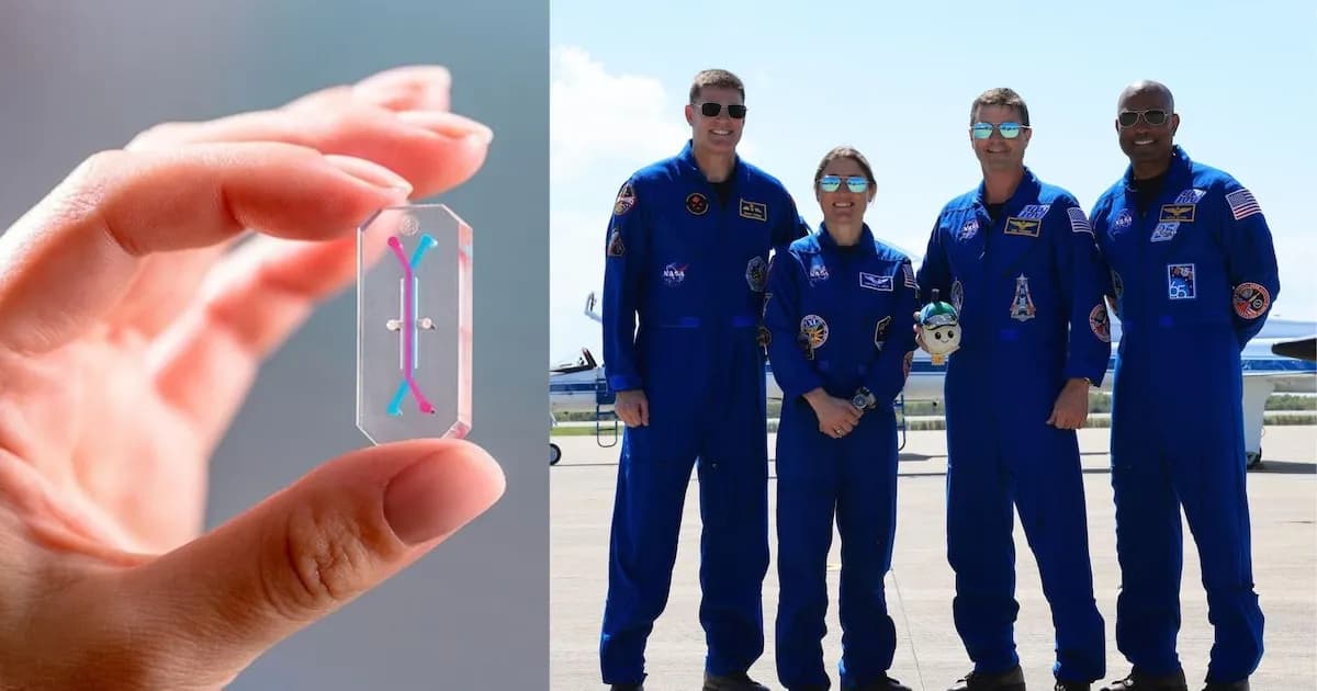 Chips biotecnológicos acompañarán a los astronautas de Artemis II en su viaje a la Luna