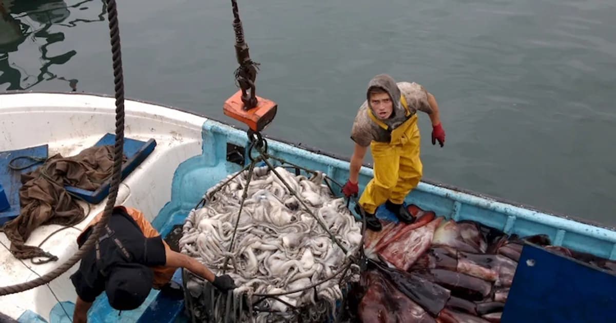 Chile implementa nuevas medidas para enfrentar el aumento de combustibles