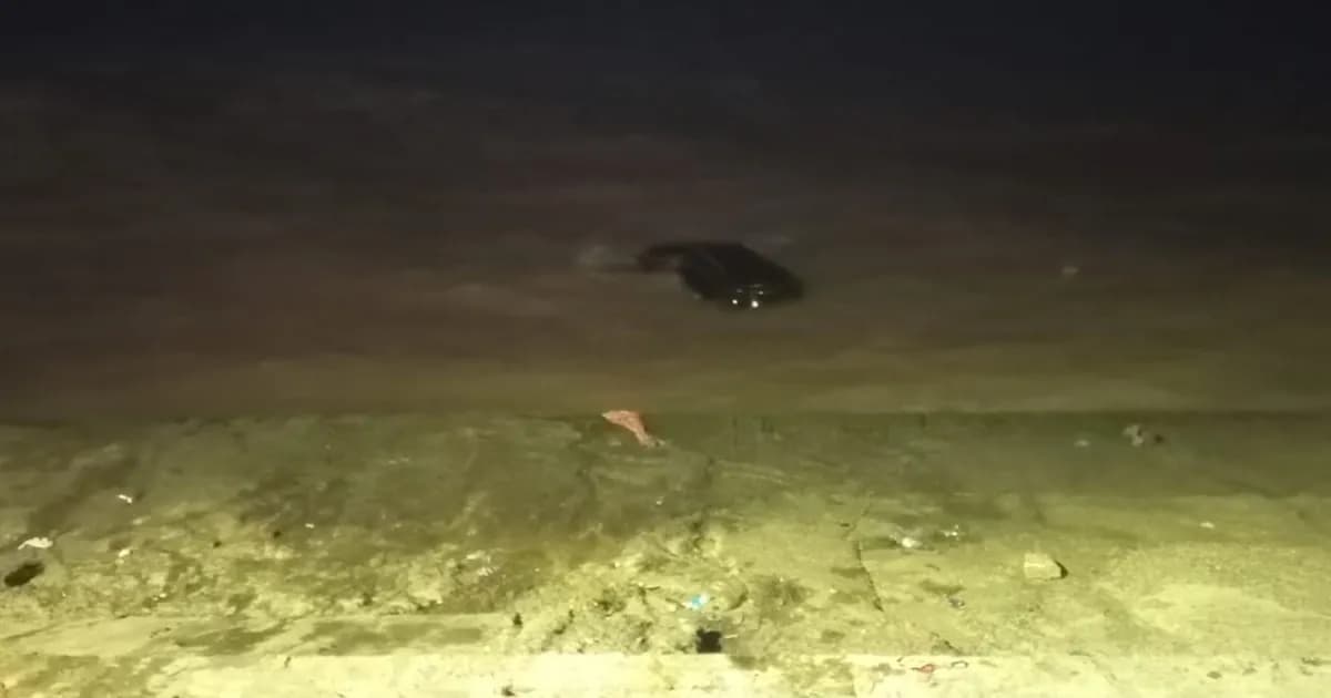 Rescate heroico: madre e hija salvadas tras caer al Río de La Plata