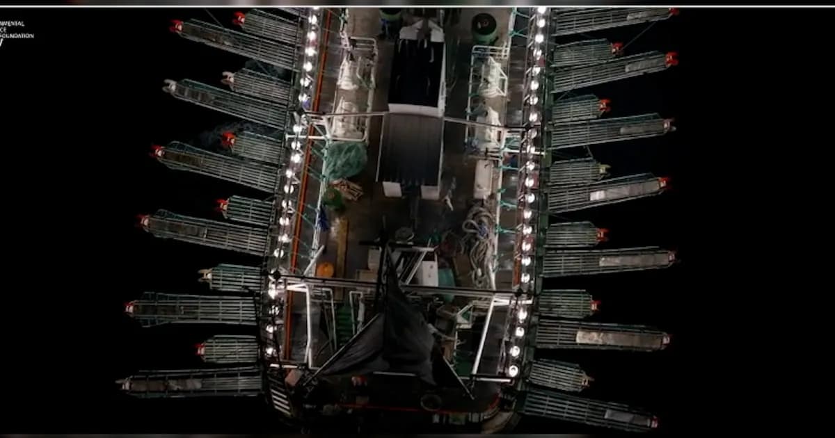 Argentina impone multa histórica a pesca ilegal: ¿un cambio en la lucha contra la flota china?