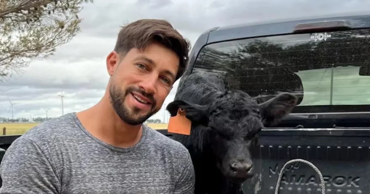 El escándalo del influencer rural: 190 vacas robadas y un entramado de estafa