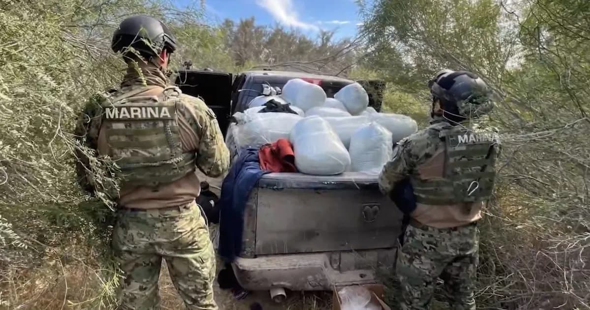 Operativo en Baja California Sur: grandes decomisos de armamento y drogas