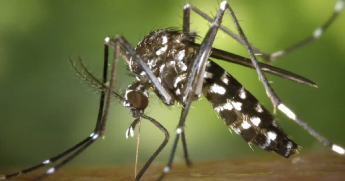 Salta enfrenta su primer deceso por chikungunya en medio de un brote alarmante