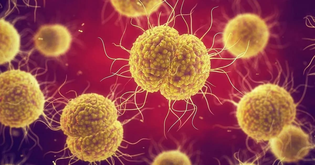 Innovador dispositivo cervical promete transformar el tratamiento de infecciones de transmisión sexual