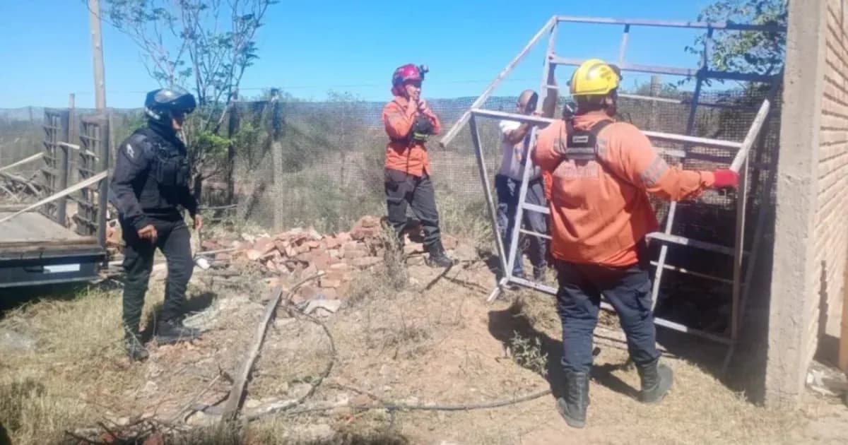 Rescate de un caballo en La Rioja: un operativo que mantuvo en vilo a la comunidad