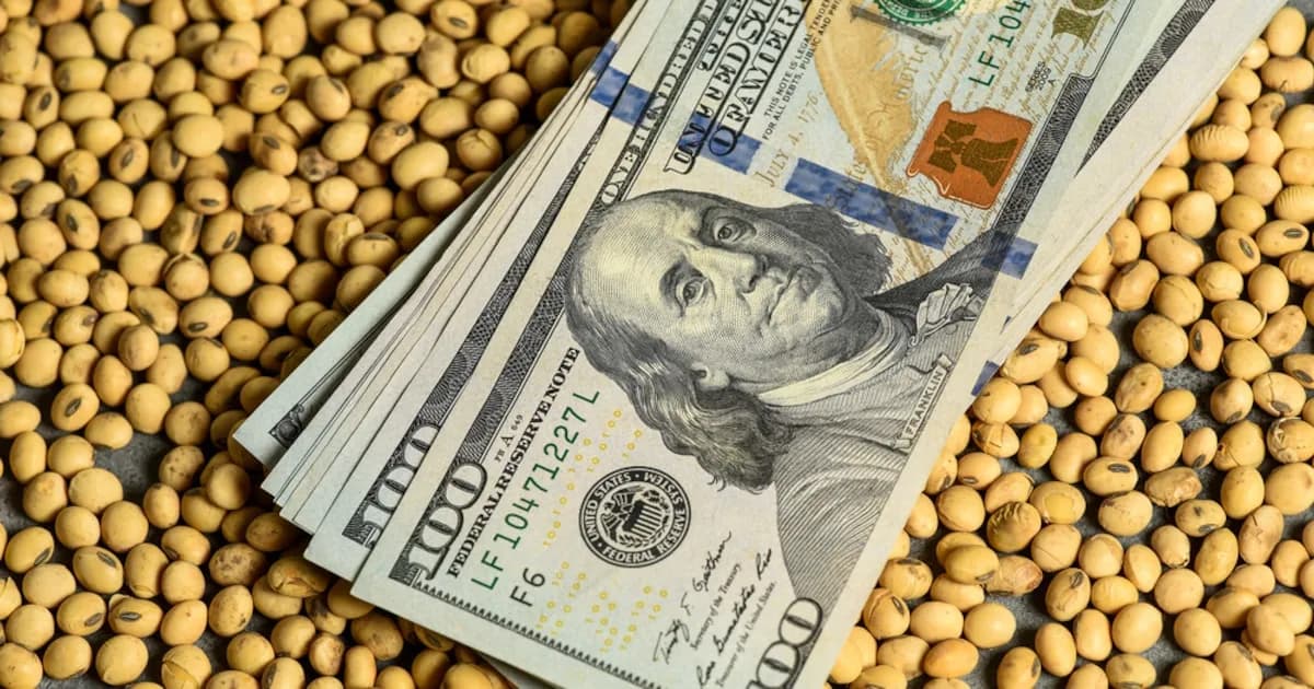 Cosecha de dólares del campo: ¿puede frenar la inflación en un entorno cambiario incierto?