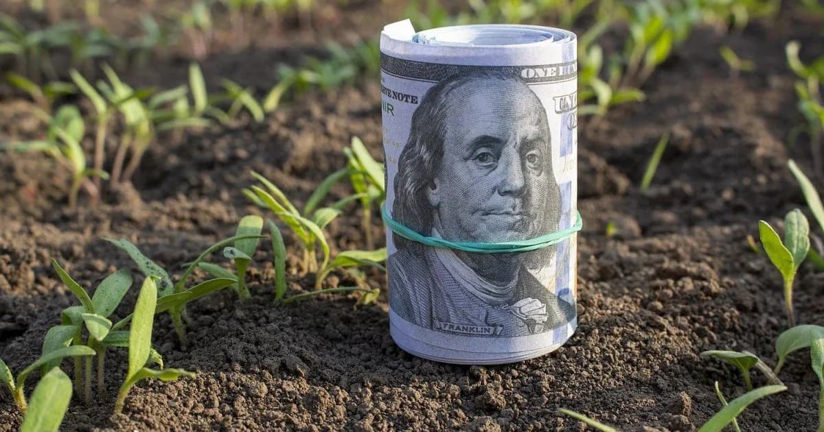 El BCRA levanta restricciones al agro, buscando facilitar el acceso al crédito