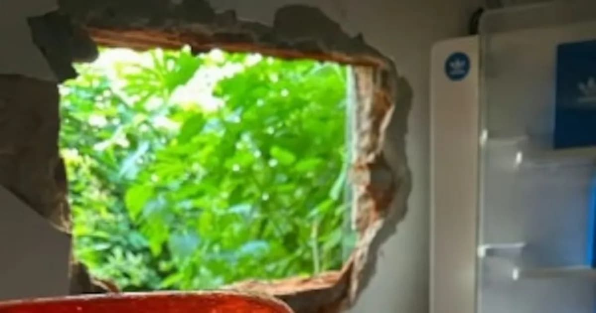 Detienen a ex gendarme y otros dos por robo en relojería de Lomas de Zamora