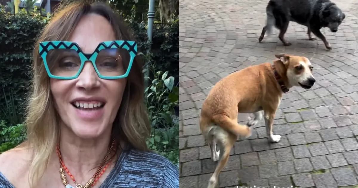 Vero Lozano experimenta con el viral 'Jessica' para calmar a sus perros