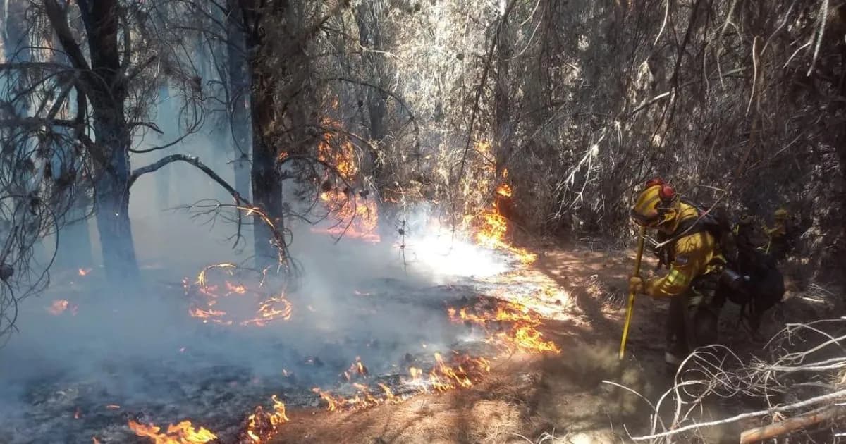 El Gobierno impulsa la reforma de la ley de Manejo del Fuego para favorecer al agro