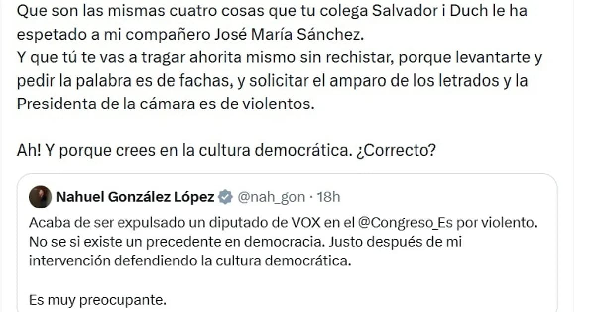 Tensión en el Congreso: Diputado de Vox arremete contra integrante de Sumar