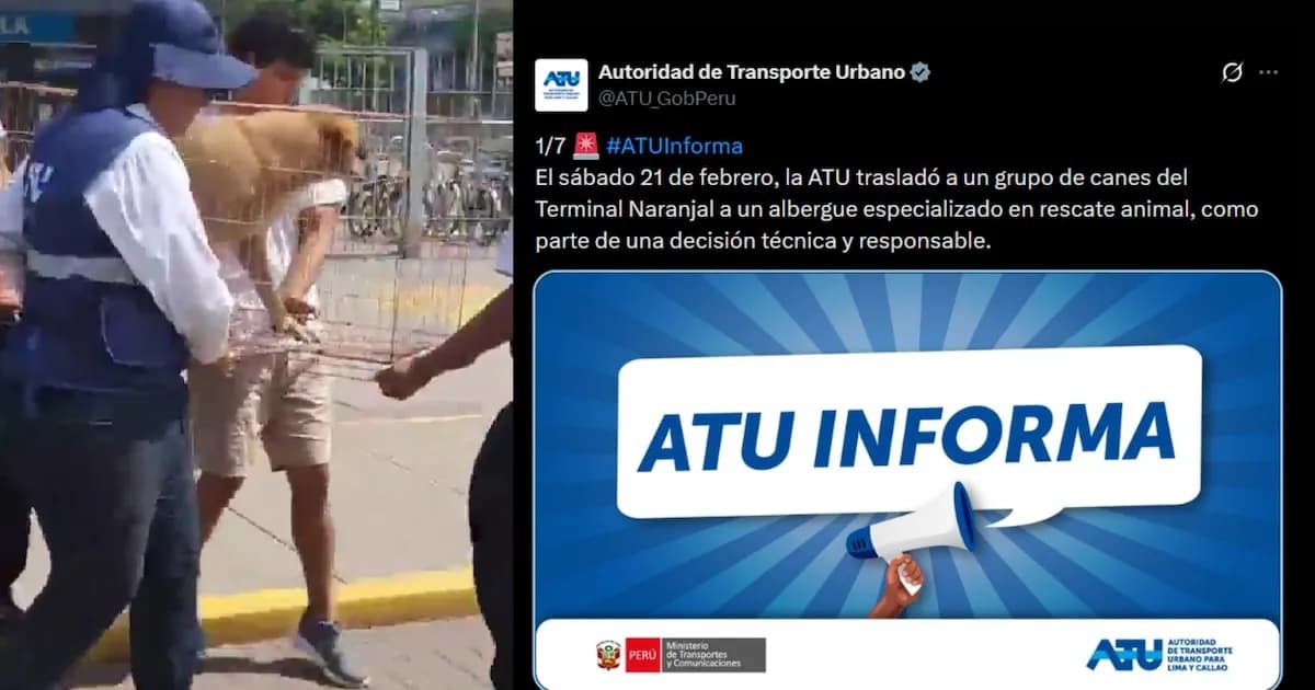 Autoridades trasladan perros del Terminal Naranjal a un albergue seguro