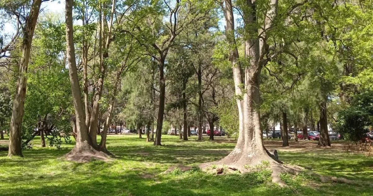 Hombre denuncia abuso sexual y drugado en La Plata: un hecho alarmante