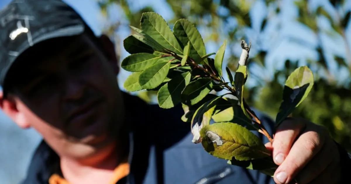 Desalentador panorama para las economías regionales: más sectores en crisis