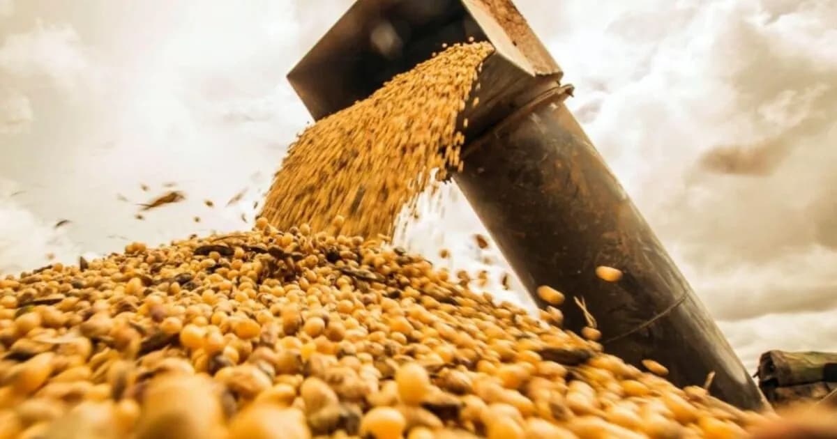 Productores del Norte Argentino alertan sobre presiones gubernamentales y cartelización en el mercado de semillas