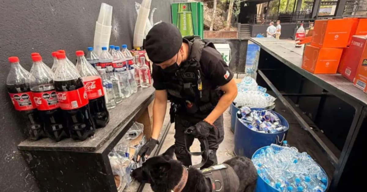 Desbaratan fiesta electrónica en Córdoba y secuestran diferentes drogas