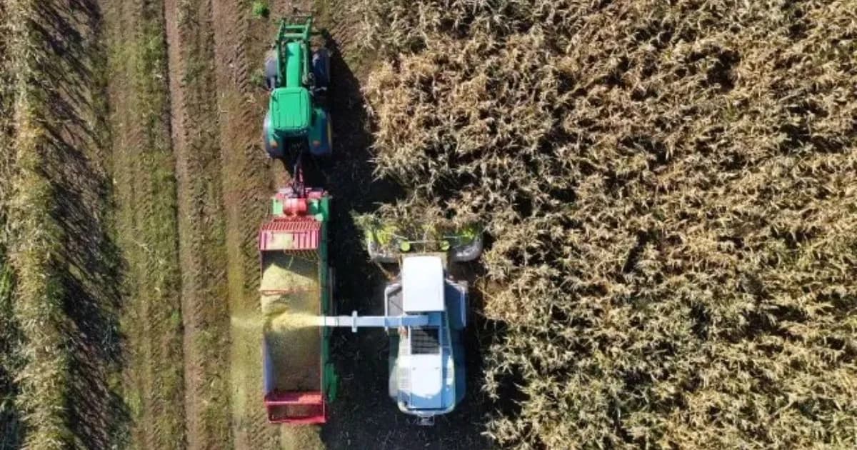 La Revolución Agropecuaria: Desafíos y Oportunidades en la Infraestructura