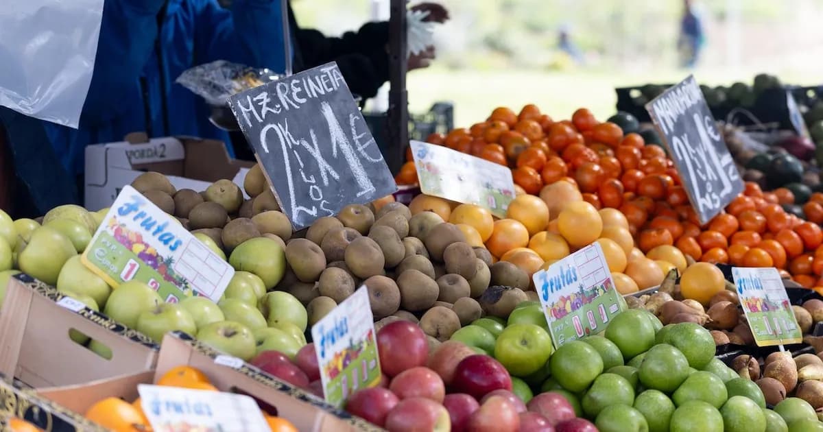 Descenso en gasto alimentario y aumento en vehículos: un análisis del consumo en España en 2024