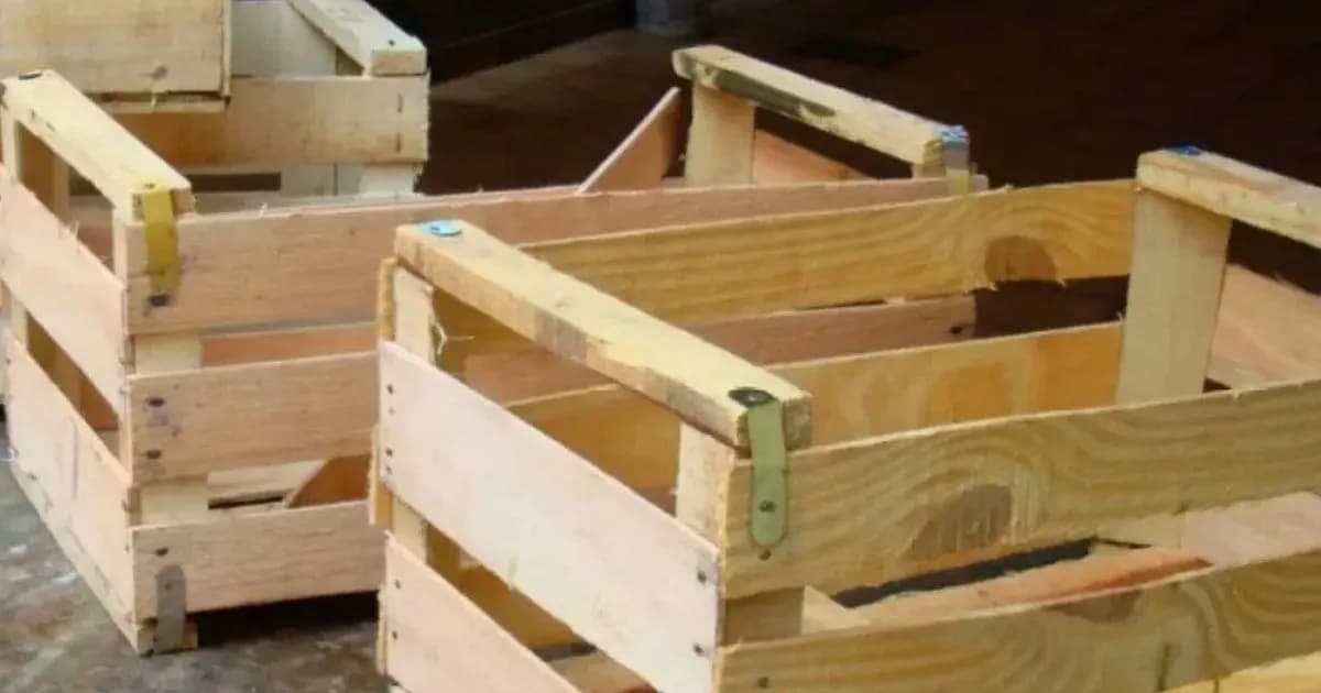 Inundaciones en Santa Fe: Destrucción de cultivos y aumento de precios en frutas y verduras