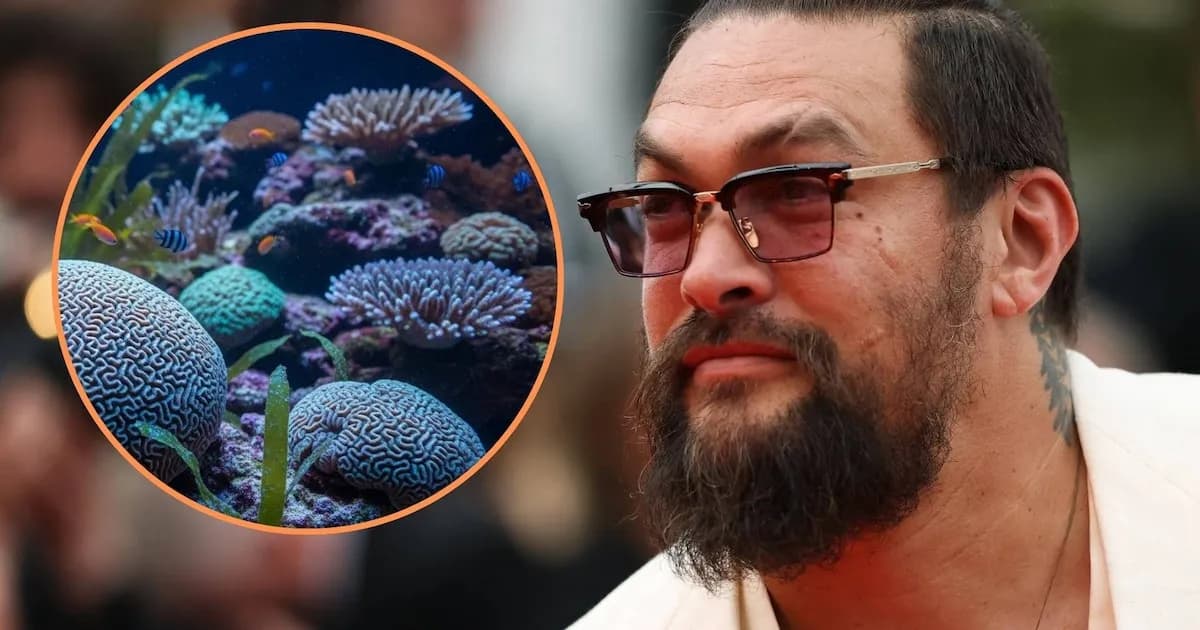Jason Momoa alerta sobre la posible desaparición del 90% de los arrecifes de coral