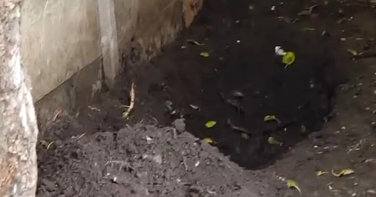 Un trágico hallazgo: niño descubre el cuerpo de su madre en Claypole