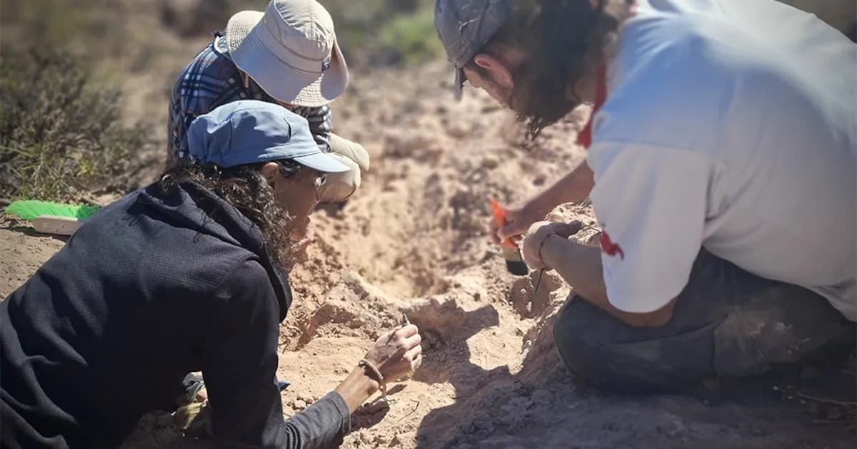 Fósiles de un Cocodrilo Prehistórico Hallados en Río Negro: Un Viaje a Hace 85 Millones de Años