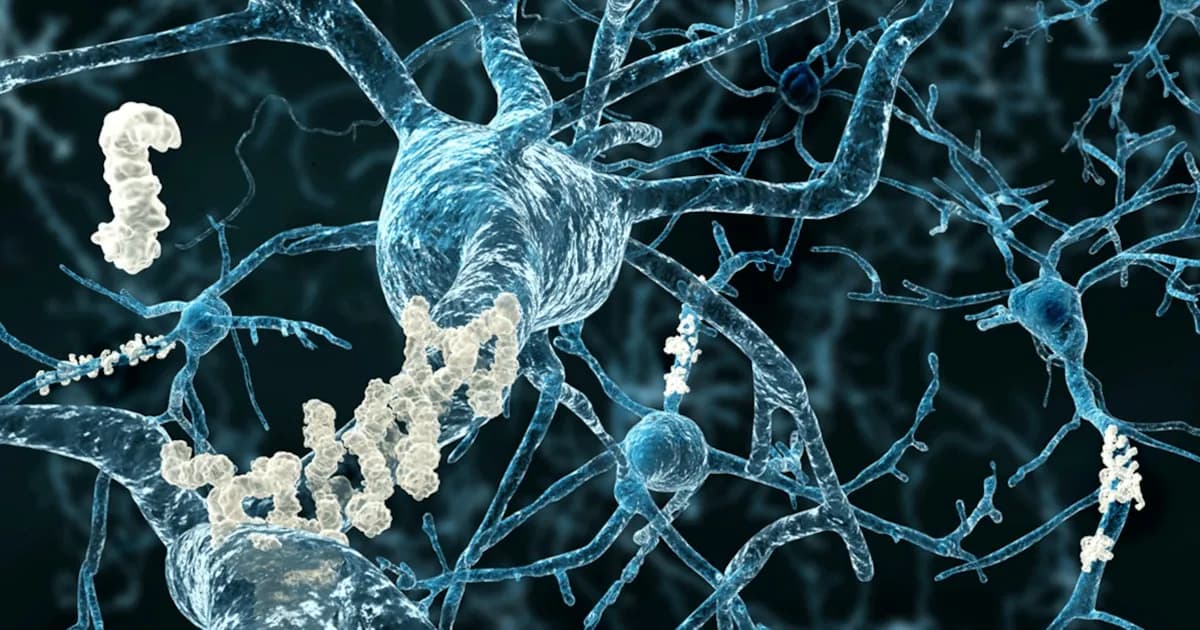 Alzheimer: ¿Por qué algunas personas conservan su lucidez a pesar de la enfermedad?