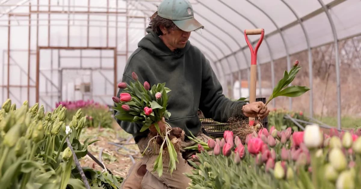 Productores del noreste de EE. UU. enfrentan desafíos climáticos y adoptan nuevas estrategias