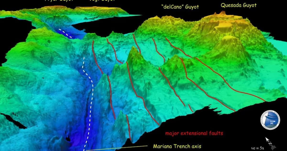 La Fosa de las Marianas: Misterios de la Profundidad y su Biodiversidad Inexplorada